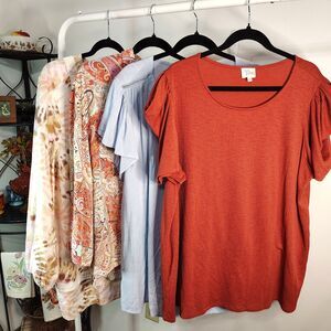 Casual & Career BUNDLE 3X Women's Plus Size Shirts Short & Long Sleeves